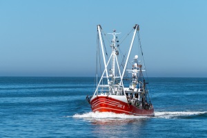 Norden-20220811-122405-_8110095