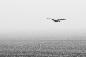 Emmerthal-20250928-094552-DSCF2706