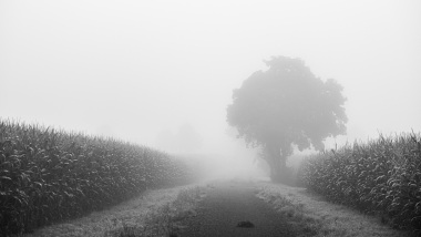 Nebel