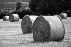 Hameln-20130901-114709-IMG_2013-09-01-11-47-09_60639