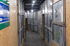 Bremen-20240309-182723-DSCF7544