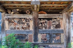 Hameln-20230610-161253-DSCF0980