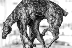 Hameln-20240615-112041-DSCF9667-Bearbeitet