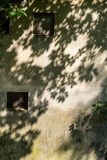 20230608-163506-DSCF0863