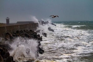 Helgoland-20101027-143456-IMG_2010-10-27-14-34-56_40048
