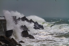 Helgoland-20101027-143225-IMG_2010-10-27-14-32-25_40020