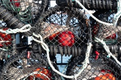 Helgoland-20211125-121638-_DSF0119