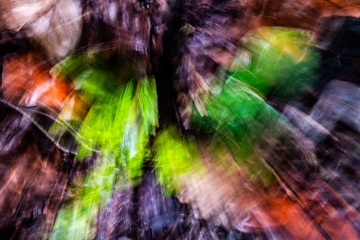 Emmerthal-20251013-145838-DSCF3078