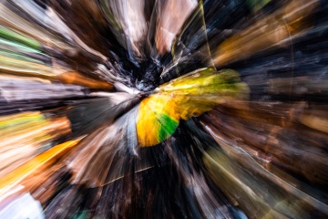 Emmerthal-20251013-150016-DSCF3083