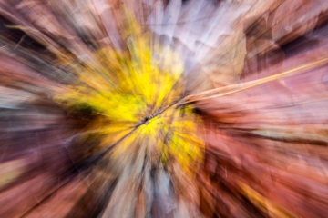 Emmerthal-20251110-143807-DSCF3686