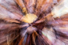 Emmerthal-20251110-144733-DSCF3717