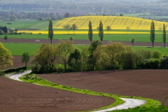 Emmerthal-20240414-155349-_4140124