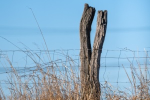 Hameln-20250924-173958-DSCF2503