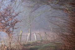 Emmerthal-20250201-111838-DSCF6754