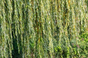 Hannover-20160909-144944-ING_2016-09-09-14-49-44_78284