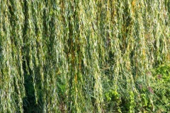 Hannover-20160909-144944-ING_2016-09-09-14-49-44_78284