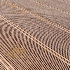 Hameln-20190906-161355-_9060228-2