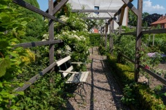 Hameln-20230610-161124-DSCF0973