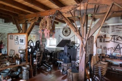 Hameln-20240615-120556-DSCF9680