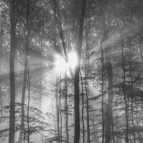 The Spirit of Autumn
