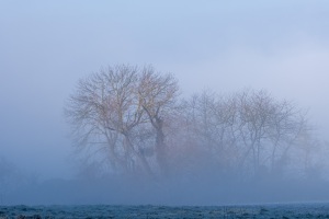 Emmerthal-20250201-110504-DSCF6734