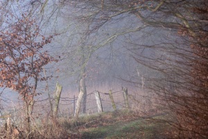 Emmerthal-20250201-111838-DSCF6754