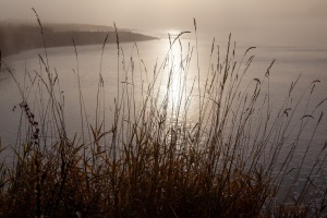 Hameln-20111027-091803-IMG_2011-10-27-09-18-03_53179
