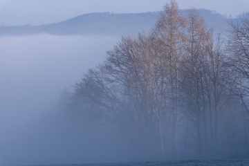 Emmerthal-20250201-105614-DSCF6713