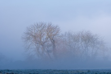 Emmerthal-20250201-110504-DSCF6734