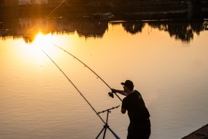 Angler