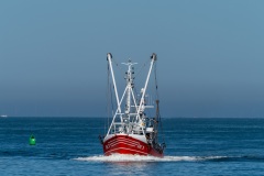 Norden-20220811-122334-_8110090