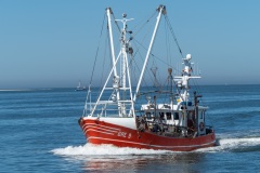 Norden-20220811-122413-_8110099