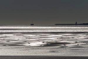 Norderney-20220811-183322-_8110465