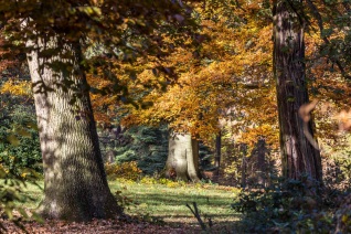 Herbststimmung