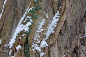 Emmerthal-20090104-130732-IMG_2009-01-04-13-07-32_30551