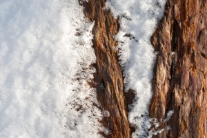 Emmerthal-20090111-124047-IMG_2009-01-11-12-40-47_30645