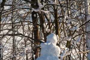 Schneemann