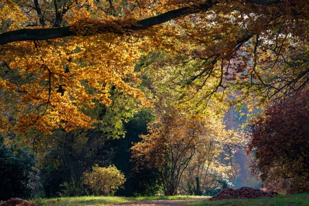 Herbstimpression