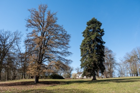 Zentrale Wiese und Ohrberghaus