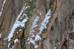 Emmerthal-20090104-130732-IMG_2009-01-04-13-07-32_30551