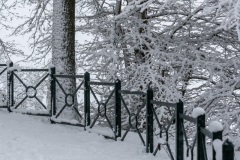 Emmerthal-20090104-131101-IMG_2009-01-04-13-11-01_30556