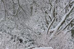 Emmerthal-20090104-131157-IMG_2009-01-04-13-11-57_30558