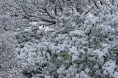 Emmerthal-20090104-131653-IMG_2009-01-04-13-16-53_30565