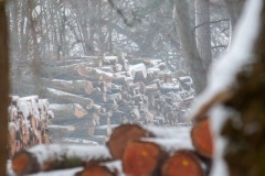 Emmerthal-20090104-132621-IMG_2009-01-04-13-26-21_30586