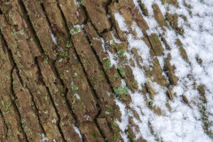 Emmerthal-20090104-132917-IMG_2009-01-04-13-29-17_30591