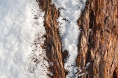 Emmerthal-20090111-124040-IMG_2009-01-11-12-40-40_30644