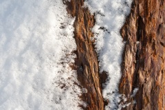 Emmerthal-20090111-124047-IMG_2009-01-11-12-40-47_30645