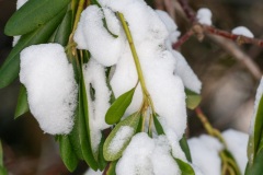 Emmerthal-20090111-124633-IMG_2009-01-11-12-46-33_30654