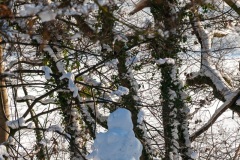 Emmerthal-20090111-132952-IMG_2009-01-11-13-29-52_30732