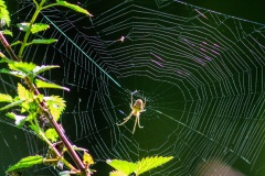 Emmerthal-20110925-131917-IMG_2011-09-25-13-19-17_49649